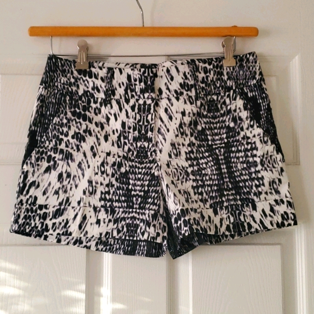 7th Avenue New York & Company Patterned Shorts